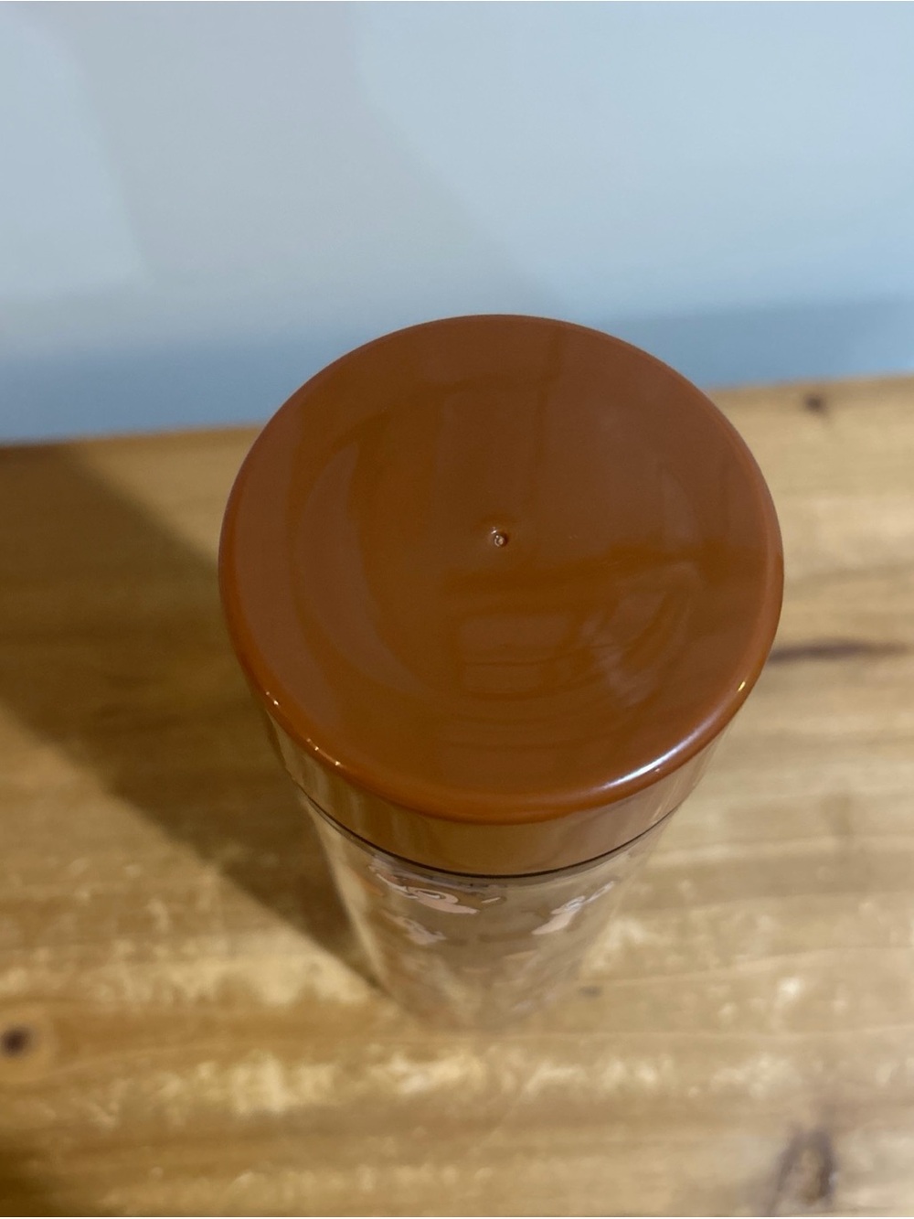 Disney Parks 2025 Chip and Dale Brown Water Bottle Tumbler - Picture 4 of 7